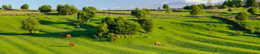 Remains of a medieval field system in the Derbyshire Peak District