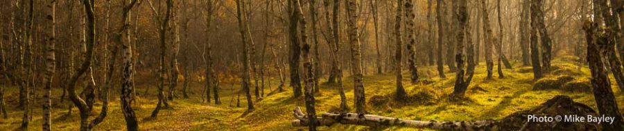 Autumn landscape photography course in the Peak District. Photo © Mike Bailey