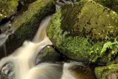 Peak District autumn landscape photography course near Sheffield