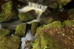 Peak District autumn landscape photography course near Sheffield