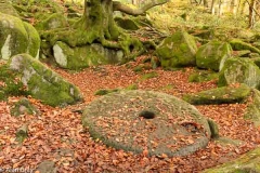 Peak District autumn landscape photography course near Sheffield