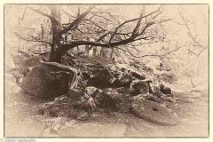 Peak District autumn landscape photography course near Sheffield