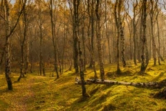 Peak District autumn landscape photography course near Sheffield