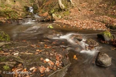 A landscape photography course in Derbyshire run by Peak Digital Training