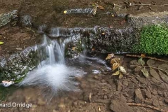 Landscape photography course in the Derbyshire Peak District run by Peak Digital Training. Photo © Howard Orridge
