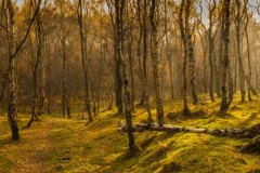 Peak District landscape photography courses by Peak Digital Training