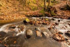 Peak District landscape photography courses by Peak Digital Training