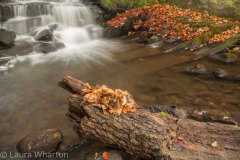 Peak District landscape photography courses by Peak Digital Training